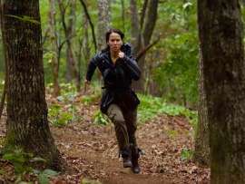 Голодные игры (4)