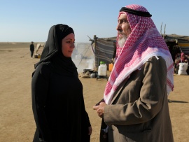 Своя война. Шторм в пустыне (6)