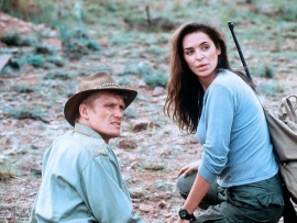 Чистильщик