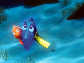 В поисках Немо (5)