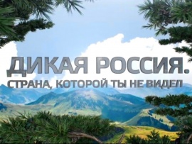 Дикая Россия. Страна, которой ты не видел