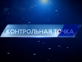 Контрольная точка