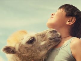 Небесный верблюд