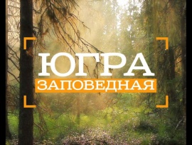 Югра заповедная