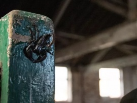 Зомби-Животные