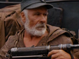 Дачная поездка сержанта Цыбули (4)