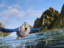 Пернатый патруль (6)