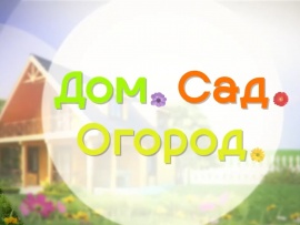 Дом. Сад. Огород