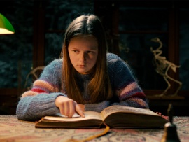 Одни на каникулах (6)