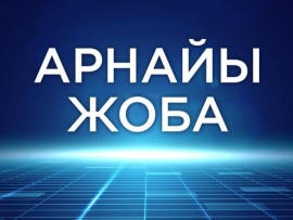 Арнайы жоба