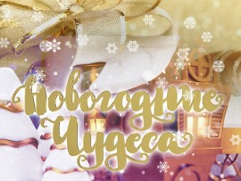 Новогодние чудеса