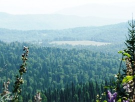 Сибирский ковчег