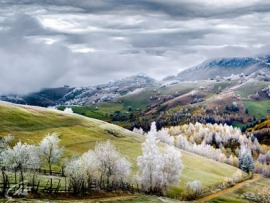 Путешественник. Путешественник: Полет к Европе