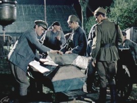 Лето волков (2)