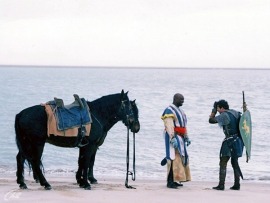 Кольцо дракона (4)