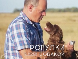 Прогулки с моей собакой