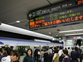 Японский городовой