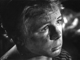 Армия Трясогузки (5)