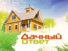 Дачный ответ