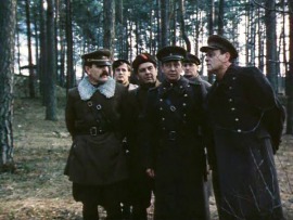 В лесах под Ковелем (4)