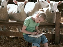 Паутина Шарлотты (2)